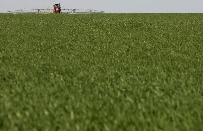 © Reuters. Plantação de girassol em Leninskoye znamya, Rússia
25/04/2011
REUTERS/Vladimir Konstantinov