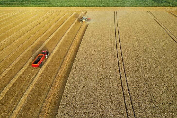 &copy; Reuters. Foto de archivo tomada con un dron de trabajadores agrícolas cosechando trigo en un campo en Haynecourt, en el norte de Francia. 
Jul 19, 2020. REUTERS/Pascal Rossignol
