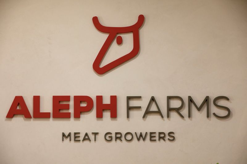 Exclusive-Aleph, Wacker team up to fast-track mass lab meat production