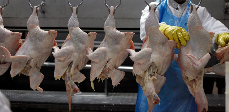 &copy; Reuters. Carne de frango em frigorífico em Itatinga (SP) 
04/10/2011
REUTERS/Paulo Whitaker