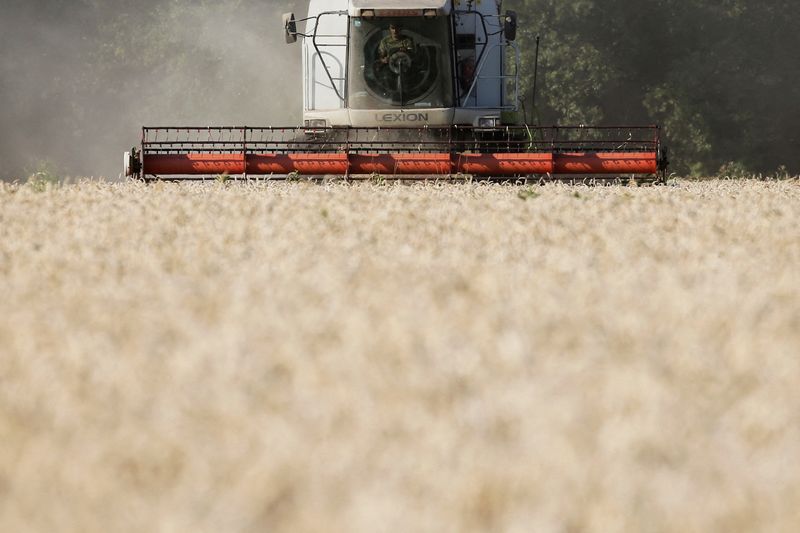 &copy; Reuters. FILE PHOTO: An employee operates a combine as he harvests wheat in a field near the village of Hrebeni in Kyiv region, Ukraine July 17, 2020. REUTERS/Valentyn Ogirenko