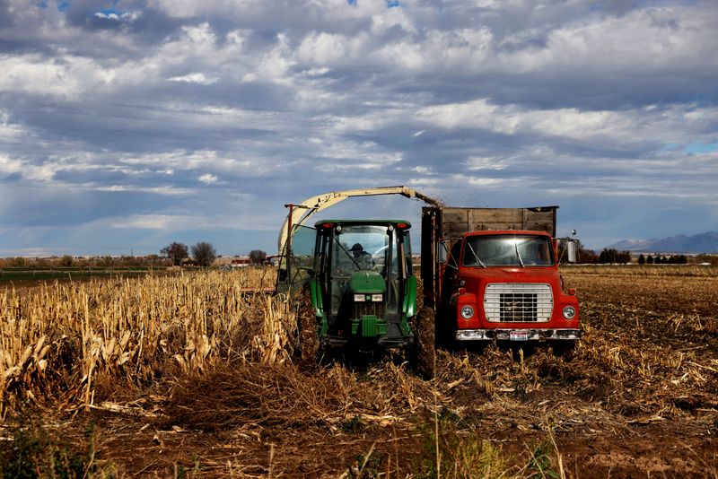 © Reuters. Plantação de milho em Star, Idaho (EUA)
29/10/2021
REUTERS/Shannon Stapleton