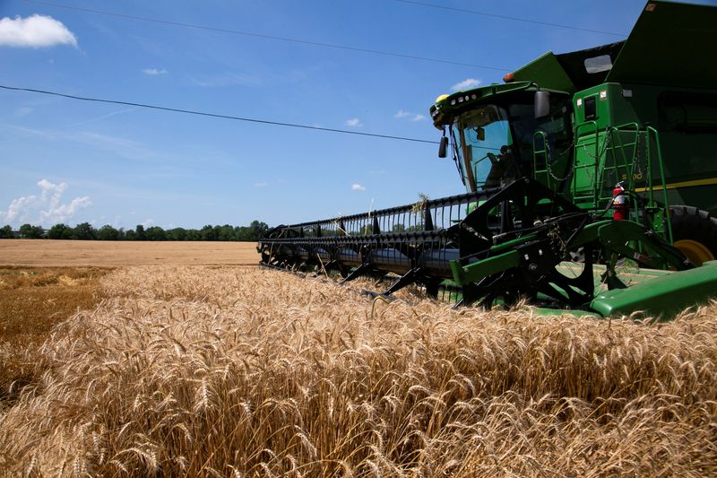 &copy; Reuters. Foto de archivo ilustrativa de una cosechadora en un campo de trigo en Shelbyville, Kentucky
Jun 29, 2021. REUTERS/Amira Karaoud