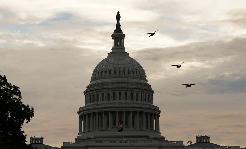 &copy; Reuters. FILE PHOTO: Birds fly near the U.S. Capitol in Washington, U.S., October 4, 2021. REUTERS/Kevin Lamarque/File Photo