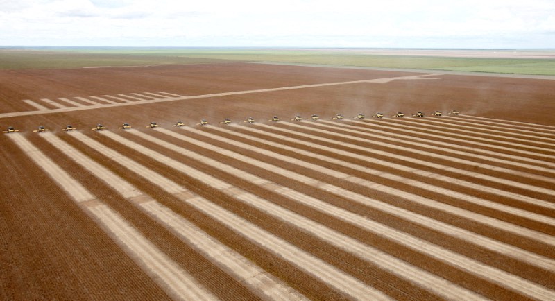 &copy; Reuters. Colheita de soja Correntina, Bahia
1/4/2010 
REUTERS/Paulo Whitaker