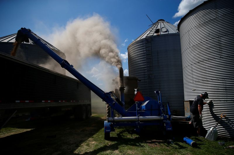 &copy; Reuters. FOTO DE ARCHIVO-Billy Danner, un agricultor, mueve granos de soja desde un elevador de granos a un camión para ser transportados, en la ciudad de West Liberty, Iowa, Estados Unidos