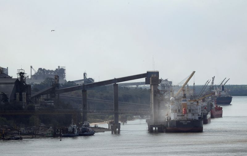 &copy; Reuters. FILE PHOTO: Grain is loaded aboard ships in a port on the Parana river near Rosario, Argentina August 28, 2020. REUTERS/Agustin Marcarian/File Photo