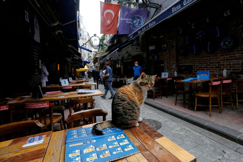 &copy; Reuters. FILE PHOTO: A cat sits on an empty table as cafes and restaurants reopen after closing down for months amid the coronavirus disease (COVID-19) outbreak, in Istanbul, Turkey June 1, 2021. REUTERS/Dilara Senkaya