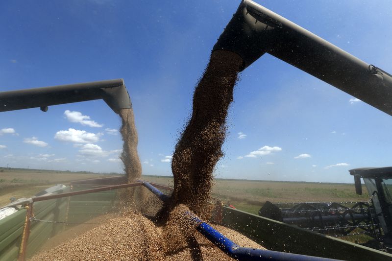 &copy; Reuters. Two reapers unload wheat grains during harvest in Orezu, southeastern Romania, July 2, 2014. Romania's 2014 wheat crop rose to a record 7.4 million tonnes from 7.3 million a year earlier while a rapeseed crop of 1.1 million tonnes marked a 44-year high, t