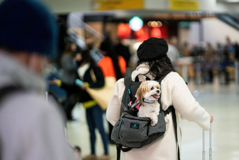 &copy; Reuters. FILE PHOTO: A passenger walks with her dog though the terminal at Newark Liberty International Airport in Newark, New Jersey, U.S., November 24, 2021. REUTERS/Eduardo Munoz