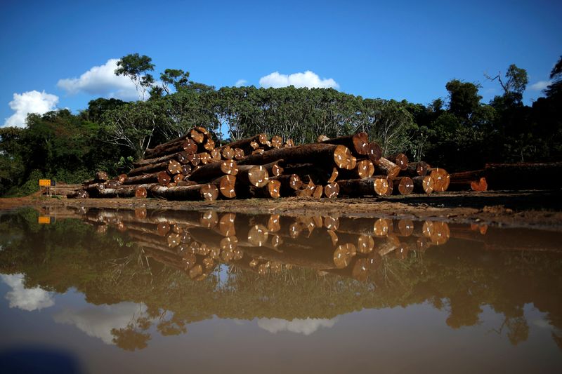 &copy; Reuters. FILE PHOTO: Piles of legal wood are seen in a wood company warehouse in the Amazon rainforest, inside Jamari National Forest Park in the County of Itapua do Oeste, Rondonia state, Brazil, September 28, 2021. REUTERS/Adriano Machado