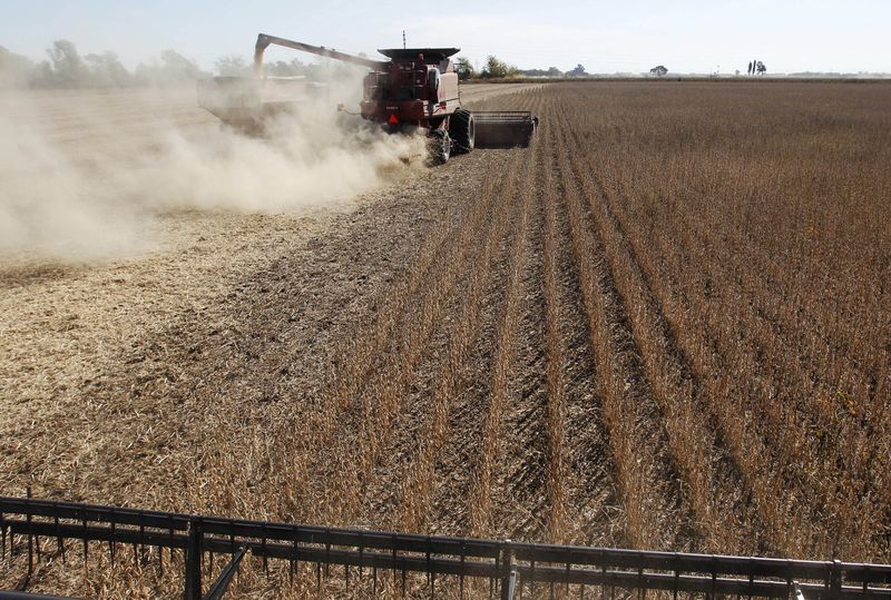 &copy; Reuters. Colheita de soja em Chacabuco, Argentina 
24/04/2013
REUTERS/Enrique Marcarian