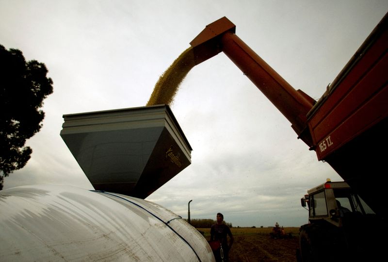 &copy; Reuters. Colheita de soja em Estación Islas, Argentina 
03/04/2010
REUTERS/Enrique Marcarian