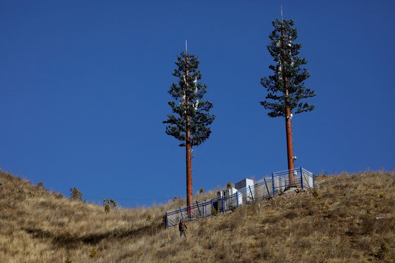 &copy; Reuters. Cell towers whose appearance resembles that of a tree stand on a slope near the National Cross-Country Centre during a government-organised media tour to Beijing 2022 Winter Olympics venues in Zhangjiakou, Hebei province, China December 21, 2021.  REUTERS