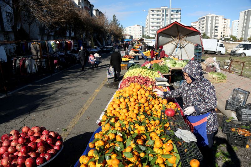 &copy; Reuters. Vendor Hanim Dogan arranges fruits at her stall in a women-led street market in Diyarbakir, Turkey December 22, 2021.  REUTERS/Sertac Kayar