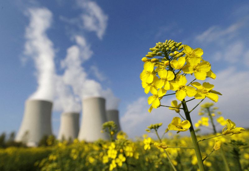 &copy; Reuters. FILE PHOTO: A mustard field is seen in front of the cooling towers of the Temelin nuclear power plant near the South Bohemian city of Tyn nad Vltavou April 12, 2014. Picture taken April 12, 2014. REUTERS/David W Cerny