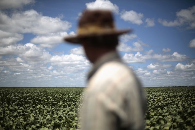 &copy; Reuters. Agricultor em plantação de soja no Brasil
REUTERS/Ueslei Marcelino