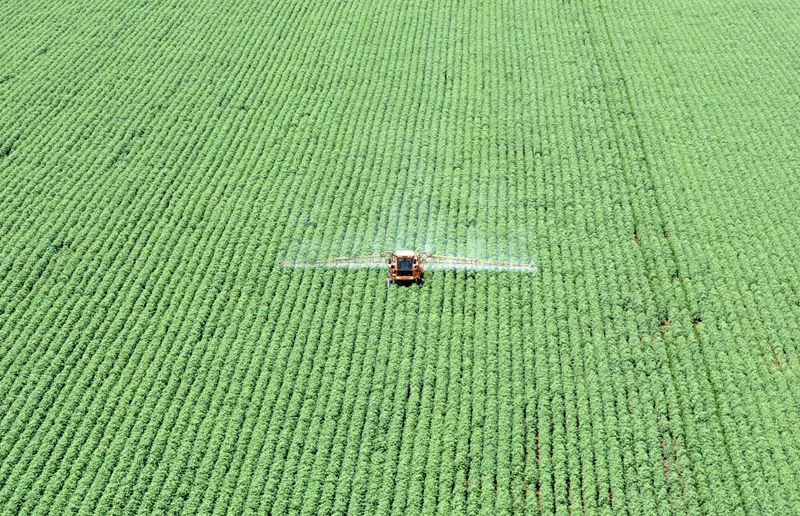 &copy; Reuters. Lavoura de soja em Primavera do Leste (MT) 
16/03/2004
REUTERS/Paulo Whitaker