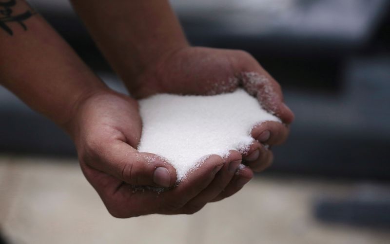 © Reuters. Produção de açúcar na Costa Rica
REUTERS/Juan Carlos Ulate