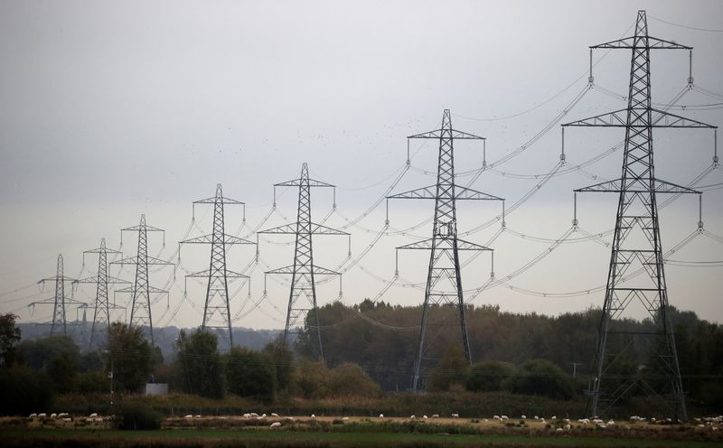 &copy; Reuters. FILE PHOTO: Sheep graze beneath a row of electricity pylons near Ellesmere Port, Britain, October 11, 2021. REUTERS/Phil Noble