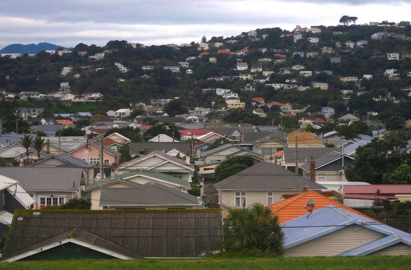 &copy; Reuters. FILE PHOTO: Residential houses are seen in Wellington, New Zealand, July 1, 2017. Picture taken July 1, 2017.   REUTERS/David Gray