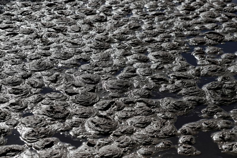 &copy; Reuters. FILE PHOTO: Wastewater bubbles are seen at a basin where workers are collecting samples of waste water to be sent to a laboratory for close examination to monitor the coronavirus in the water, at a sewage works in Anzio, near Rome, Italy, November 3, 2020