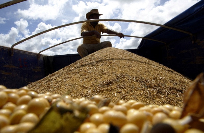 &copy; Reuters. Soja em Mato Grosso
18/03/2004
REUTERS/Paulo Whitaker