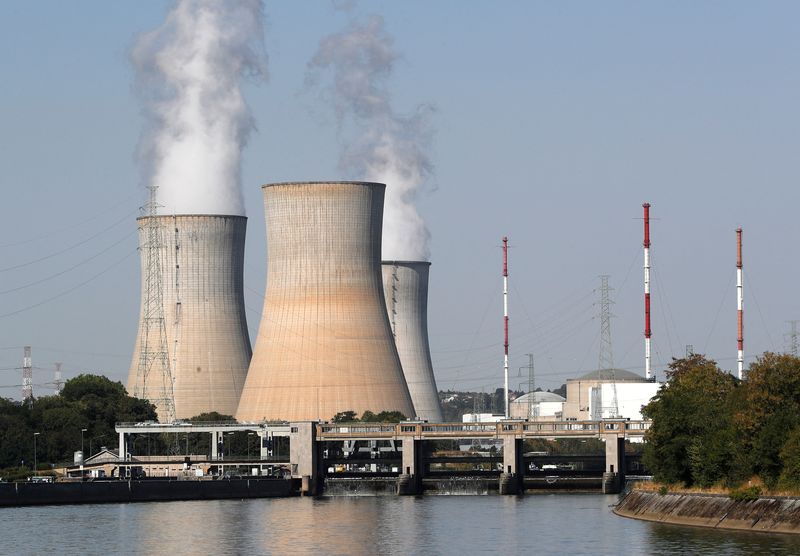 &copy; Reuters. L'agence belge de régulation du nucléaire a donné son accord lundi pour une prolongation sous conditions de la durée d'exploitation de deux réacteurs nucléaires. /Photo d'archives/REUTERS/Yves Herman