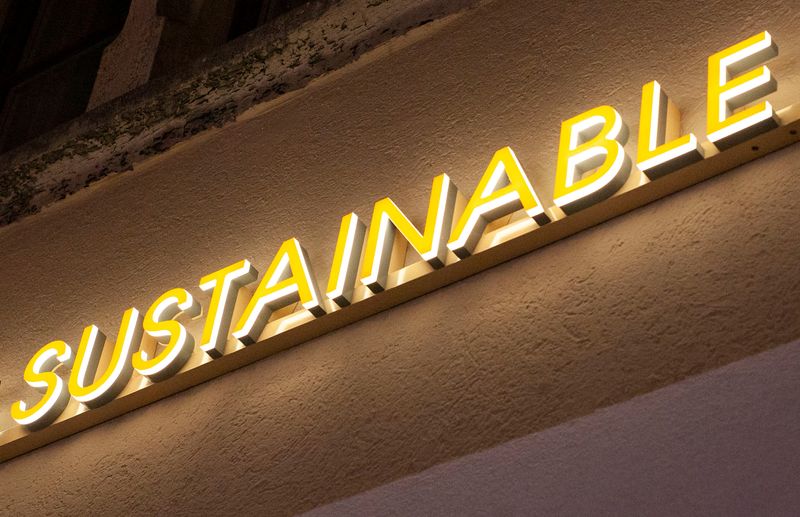'Sustainable' firms raise record amount of equity in 2021