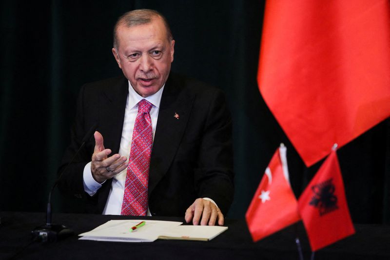 وسائل إعلام: أردوغان يقول الحكومة تتخذ خطوات لدعم الليرة التركية