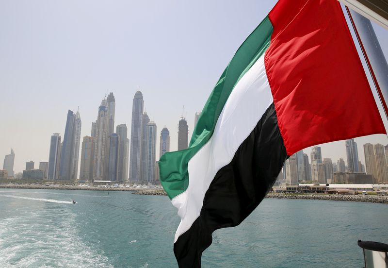 &copy; Reuters. العلم الإماراتي وخلفيته مشهد عام لمدينة دبي في صورة من أرشيف رويترز.