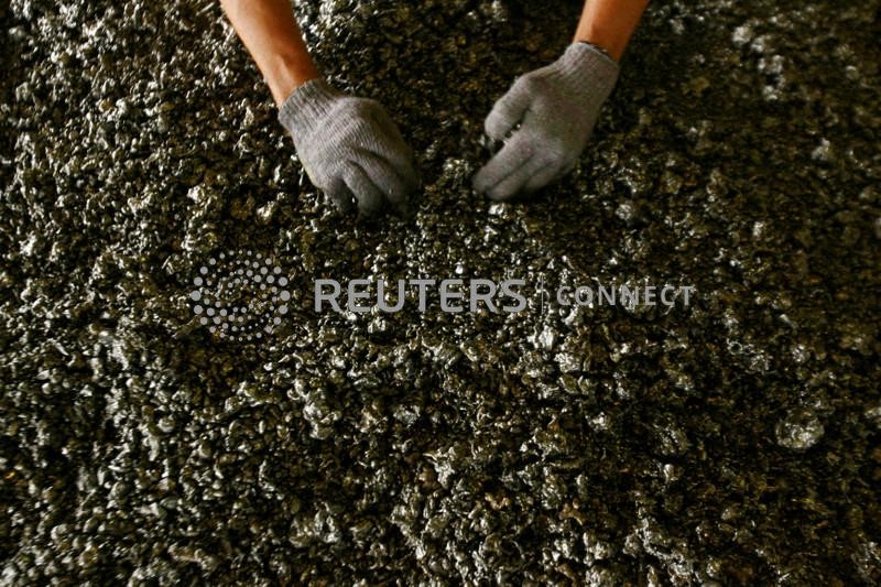 &copy; Reuters. FILE PHOTO: A worker displays nickel ore in a ferronickel smelter owned by state miner Aneka Tambang Tbk at Pomala district, Indonesia, March 30, 2011. REUTERS/Yusuf Ahmad/File Photo