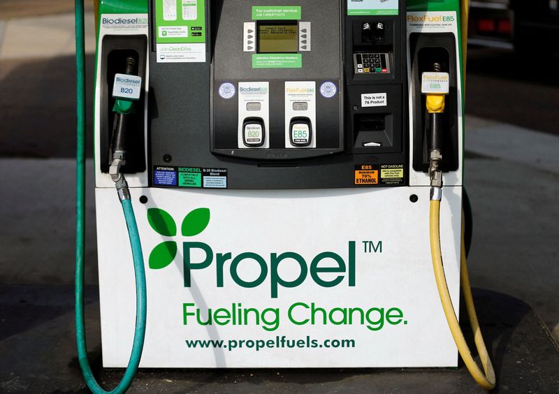 &copy; Reuters. FILE PHOTO: The pump at an alternative fueling station that provides fuel other than gasoline is shown in San Diego, California January 8, 2015.   REUTERS/Mike Blake