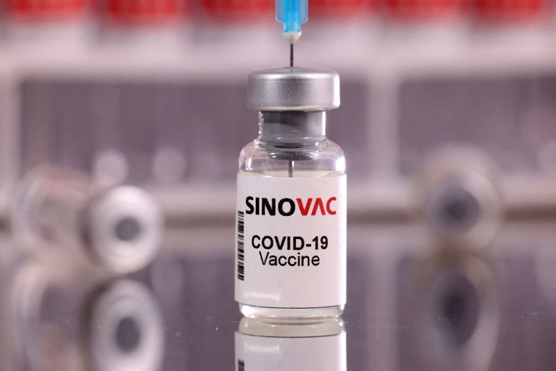 © Reuters. Foto de archivo ilustrativa de un vial con una etiqueta de la vacuna de Sinovac para el COVID-19 
Ene16, 2022. REUTERS/Dado Ruvic/ 
