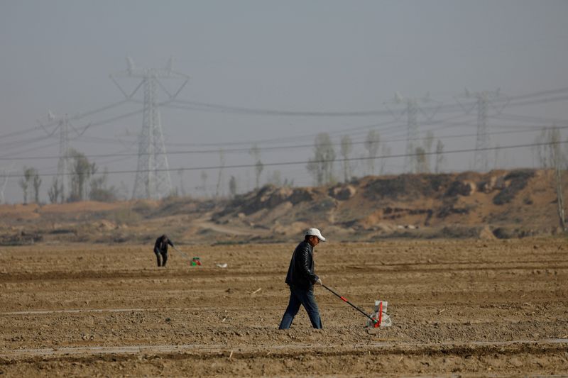 &copy; Reuters. Trabajadores utilizan sembradoras para plantar semillas de maíz en los campos de una aldea en las afueras de Wuwei, provincia de Gansu