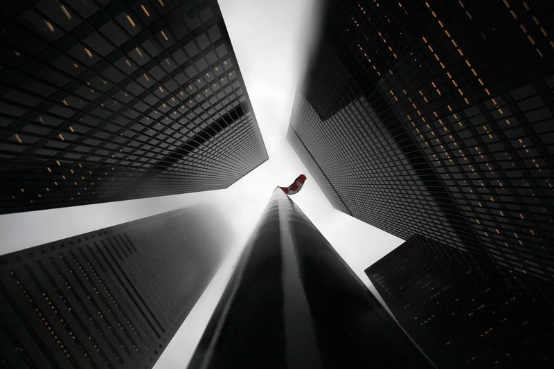 &copy; Reuters. The Canadian flag is seen on top of a flagpole in the midst of high-rise buildings in the financial district of Toronto April 3, 2009.      REUTERS/Mark Blinch (CANADA CITYSCAPE BUSINESS IMAGE OF THE DAY TOP PICTURE ENVIRONMENT)