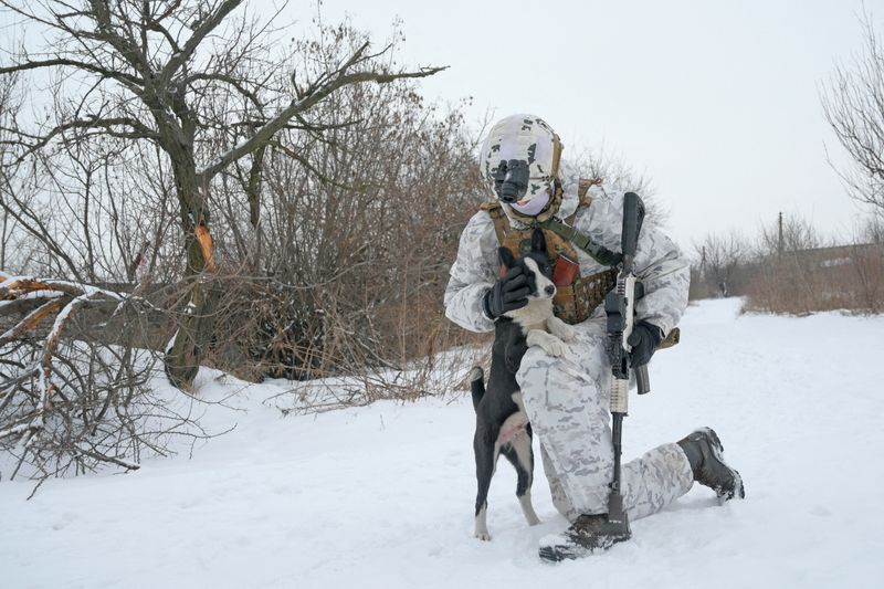 &copy; Reuters. Un miembro del servicio de las fuerzas armadas ucranianas acaricia a un perro en las posiciones de combate cerca de la línea de separación de los rebeldes respaldados por Rusia en las afueras de la ciudad de Avdiivka en la región de Donetsk, Ucrania. 2