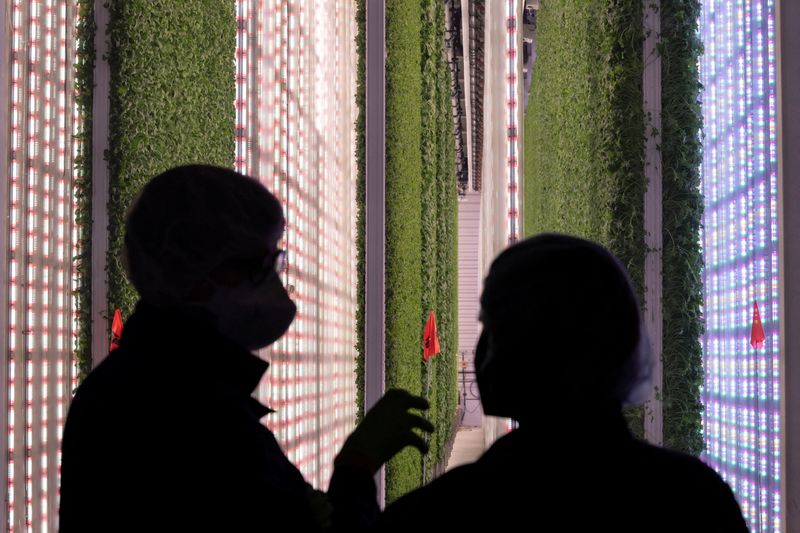 &copy; Reuters. Employees of Plenty look at an indoor vertical farm growing room at the company?s plant in South San Francisco, United States January 24, 2022. REUTERS/Carlos Barria