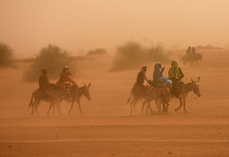 © Reuters. صورة من أرشيف رويترز لفتيات نازحات يركبن الحمير خلال عاصفة رملية في الفاشر بشمال دارفور.