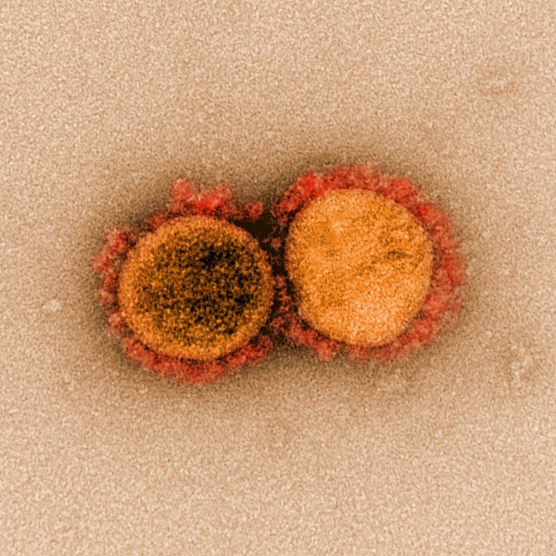 &copy; Reuters. １月２８日、英国保健安全保障庁（ＵＫＨＳＡ）は新型コロナウイルスのオミクロン株派生型「ＢＡ．２」について、オミクロン従来型の「ＢＡ．１」よりも感染力が高い可能性があるとの