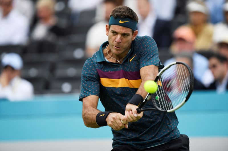 © Reuters. لاعب التنس الأرجنتيني خوان مارتن ديل بوترو - صورة من أرشيف رويترز. 
