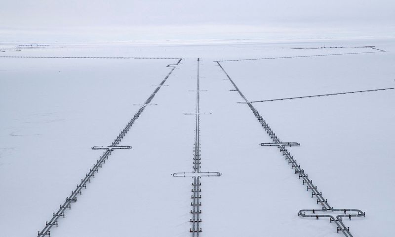 © Reuters. FILE PHOTO: A view shows pipelines near a gas processing facility, operated by Gazprom company, at Bovanenkovo gas field on the Arctic Yamal peninsula, Russia May 21, 2019. REUTERS/Maxim Shemetov/File Photo
