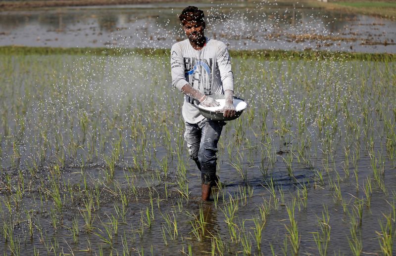 &copy; Reuters. Agricultor em Ahmedabad
31/01/2020
REUTERS/Amit Dave