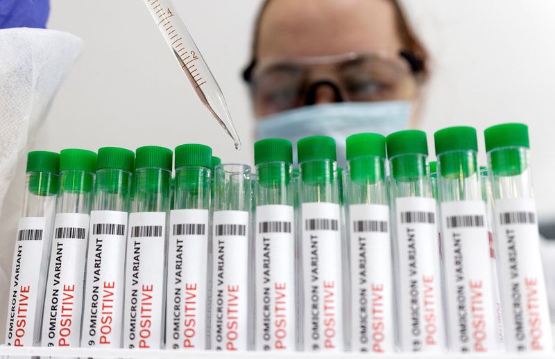 &copy; Reuters. FILE PHOTO: Test tubes labelled "COVID-19 Omicron variant test positive" are seen in this illustration picture taken January 15, 2022. REUTERS/Dado Ruvic/Illustration