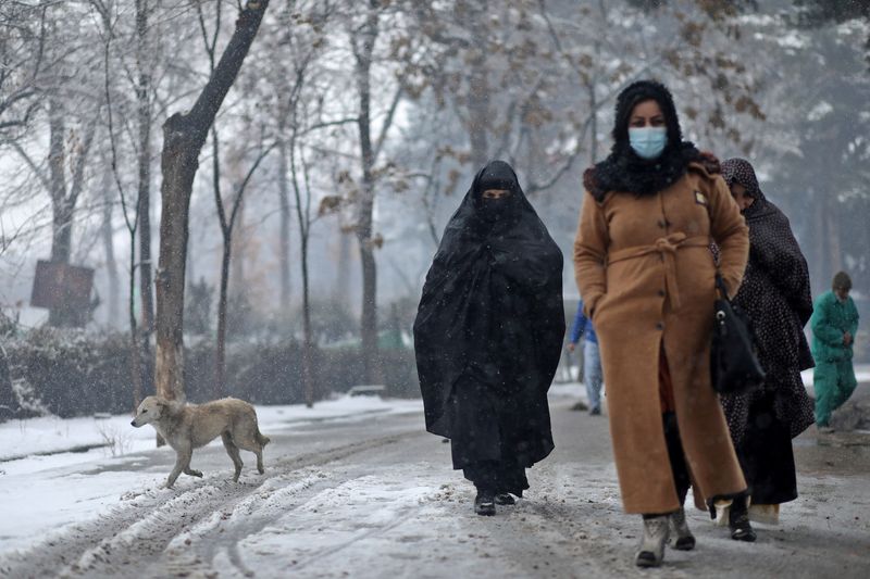 &copy; Reuters. 　２月２日、アフガニスタンの公立大学が、イスラム主義組織タリバンの実権掌握以来初めて再開され、女子学生も男子学生とともにキャンパスに復帰した。写真は雪の中を歩く女性。アフ