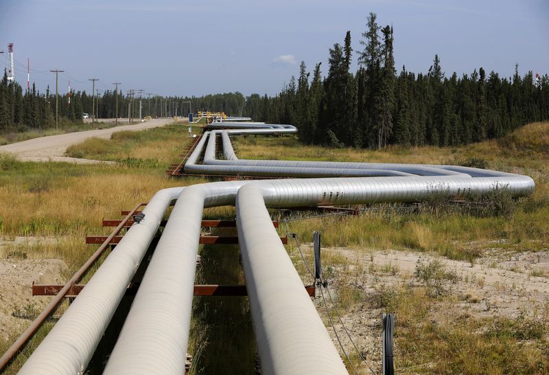 &copy; Reuters. FILE PHOTO: Pipelines carrying steam to wellheads and heavy oil back to the processing plant line the roads and boreal forest at the Cenovus Energy Christina Lake Steam-Assisted Gravity Drainage (SAGD) project 120 km (74 miles) south of Fort McMurray, Alb