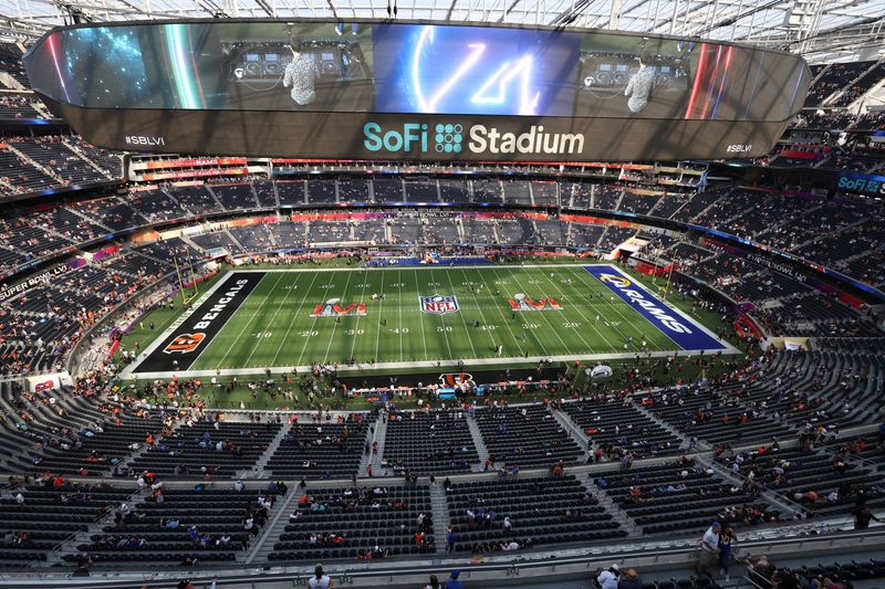NFL-Fans buoyant despite sweltering in security lines at Super Bowl