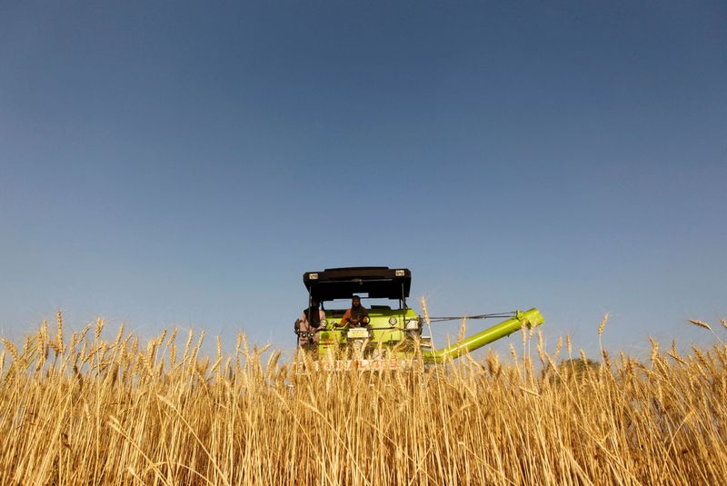 &copy; Reuters. FILE PHOTO: A combine harvester is used to harvest wheat in a field on the outskirts of the western Indian city of Ahmedabad on March 14, 2013. REUTERS/Amit Dave