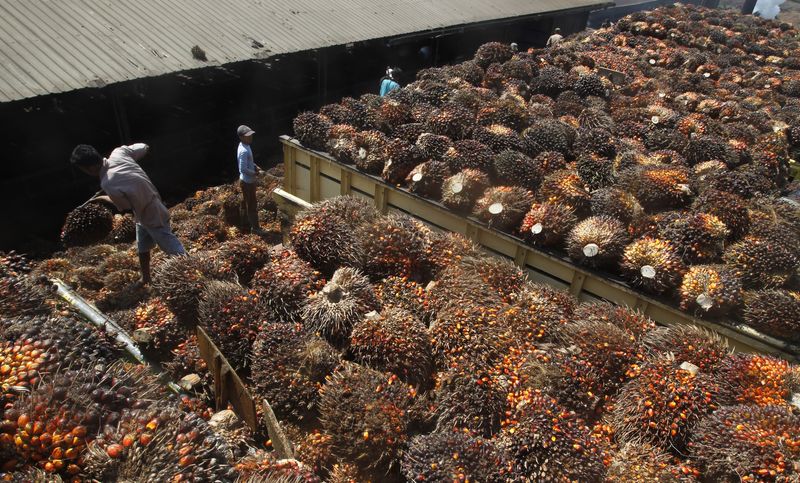 &copy; Reuters. Trabalhadores carregam frutos da palma]
19/06/2012
REUTERS/Supri