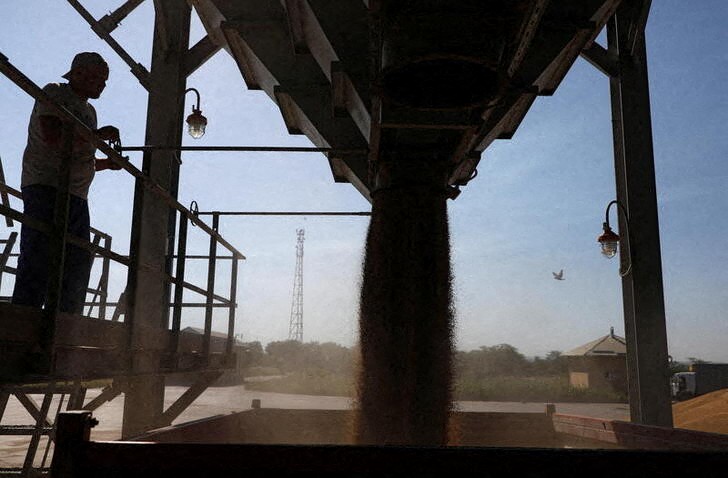 &copy; Reuters. An employee controls the process of unloading newly harvested wheat at a grain store near the village of Suvorovskaya in Stavropol Region, Russia July 17, 2021. Picture taken July 17, 2021. REUTERS/Eduard Korniyenko